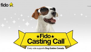 Fido