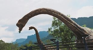 Terranova