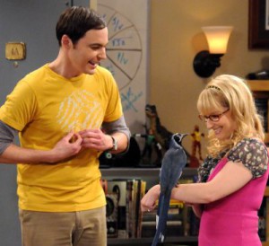 ... parsons_as_sheldon_cooper_a...