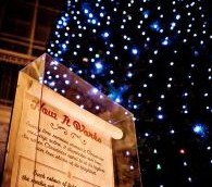 CanadianTireSpiritTree