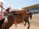 Canadian Tourism Commission travels to Oz