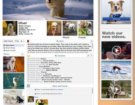 Dogbook image 1
