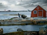 Newfoundland