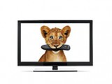Telus passes 500,000 TV subscriber milestone
