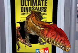 Dinosaur