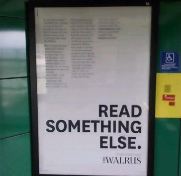 Walrus image 2