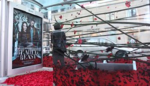 TSA Rose Petal Execution