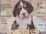 DogsAnnual