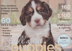 DogsAnnual