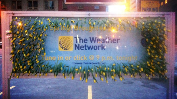 TheWeatherNetwork