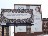 Dove4
