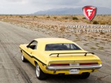 Firestone1