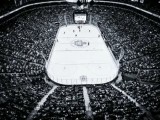 Molson Playoffs