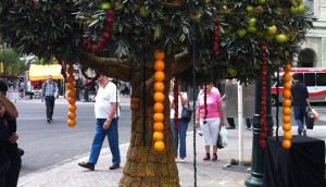 DQfruitTree2