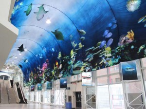 RipleysAquarium