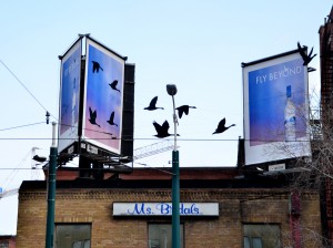 grey goose fly beyond ooh