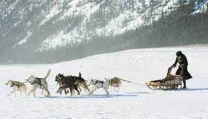 Copied from Playback - Klondike photo