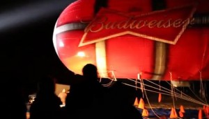 Budweiser