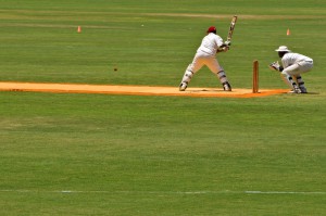 cricket