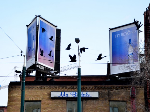 Bacardi Grey Goose_Fly Beyond (3)