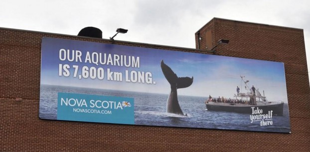 NovaScotia2