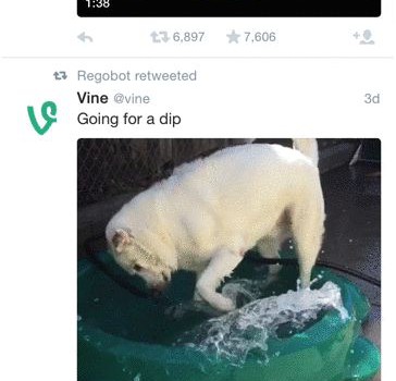 twitterVideo