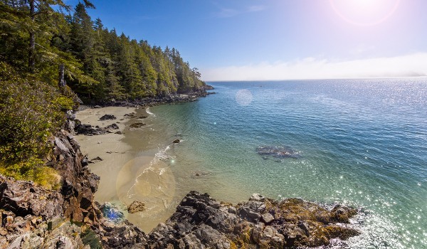 Copied from Playback - Tofino