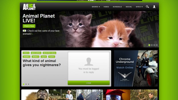 animalPlanet