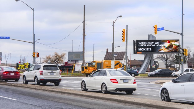 Albion & Steeles