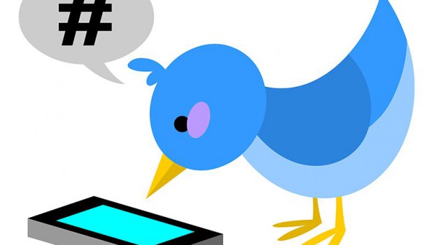 Twitter, scrren, bird