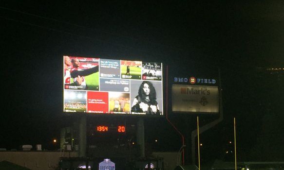 diveNetworkGreyCup