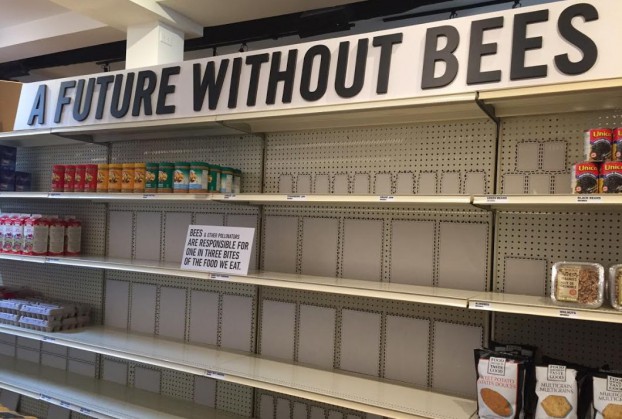 cheeriosFutureWithoutBees