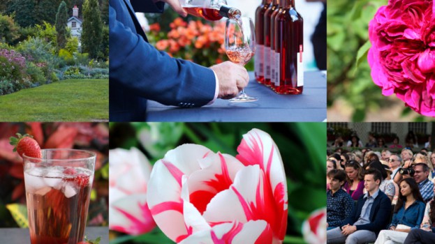 TL_GardenParty_2160x1080_Eventbrite_Header_REV4-803x603-1496682434