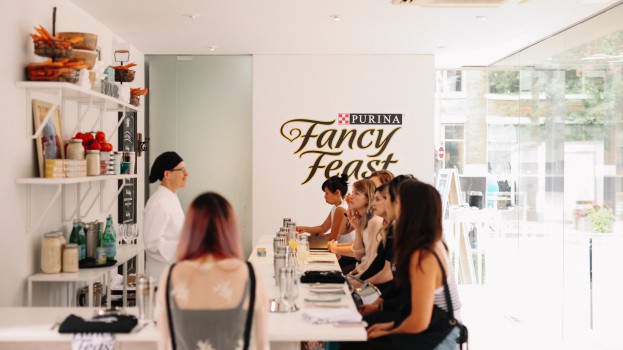 Fancy Feast Popup-80