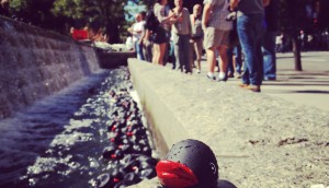 Duck photo