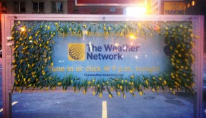 TheWeatherNetwork