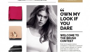 TheBrushContest