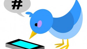 Twitter, scrren, bird