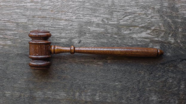 Judge